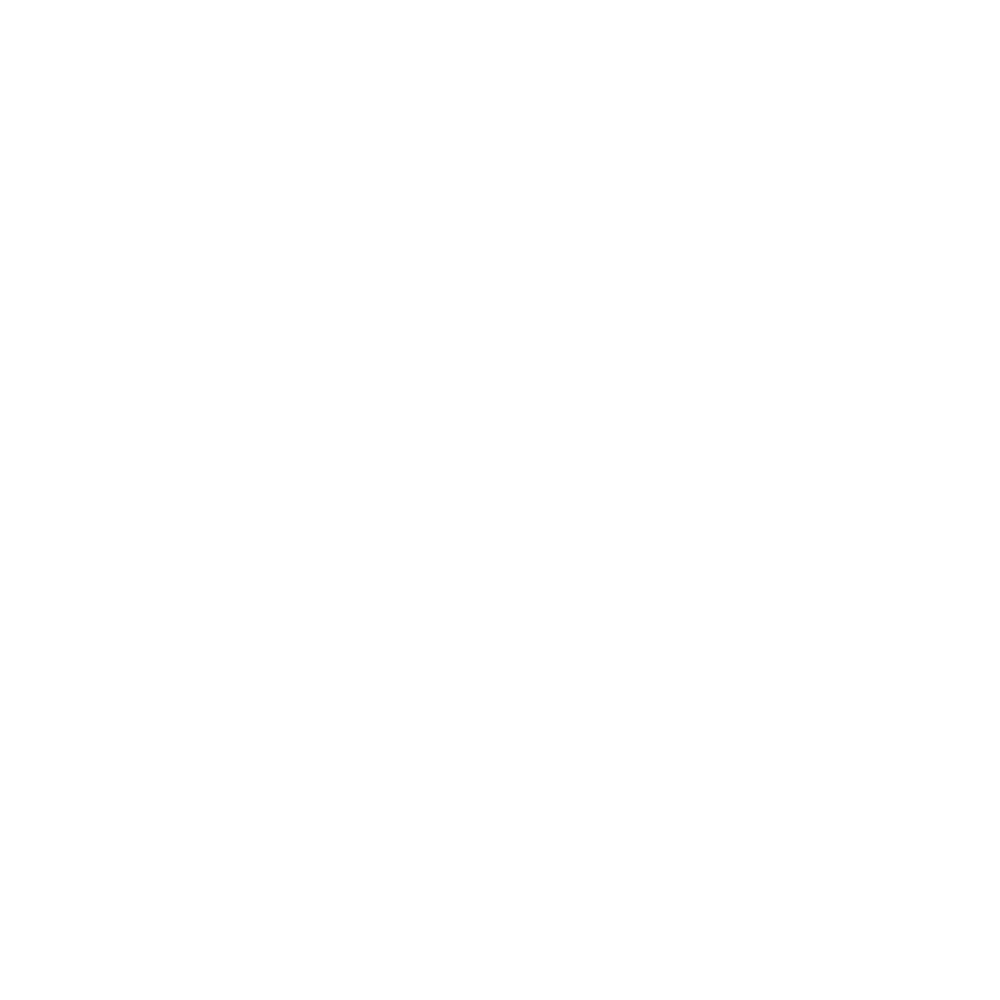 CITIC Logo