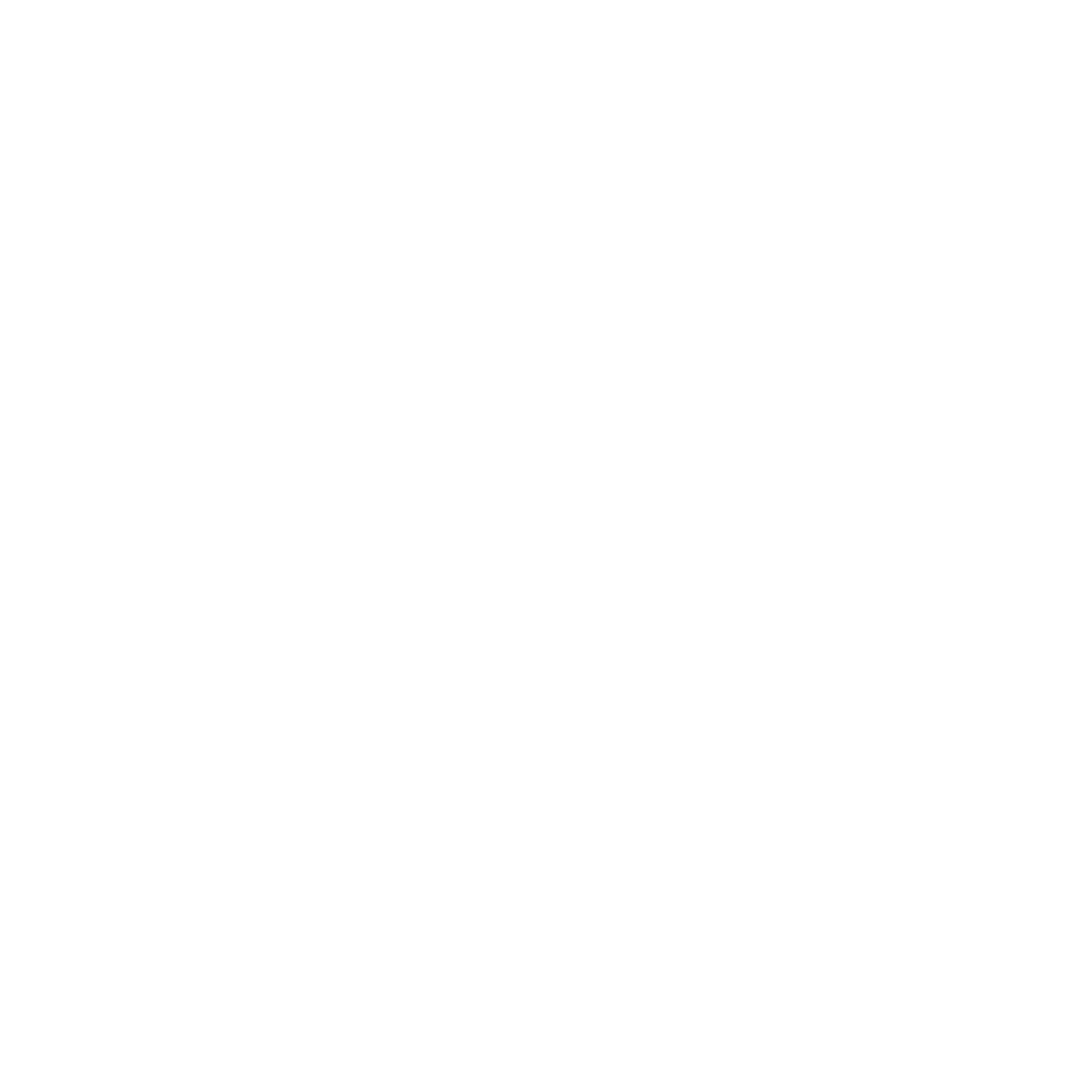 CNRS Logo
