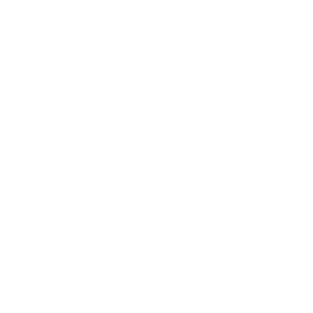 USC Logo